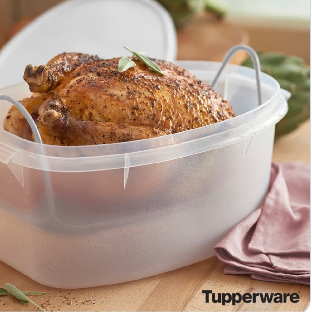 Tupperware Flavor Saver Chicken/Turkey/Ham